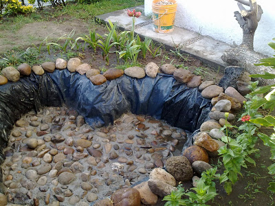 20052010305.jpg