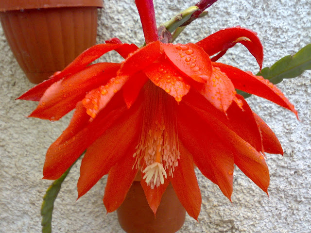 200520115543.jpg
