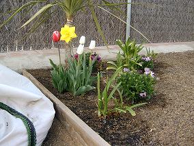 2005_04_09_002_reducida.JPG