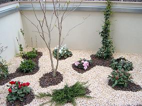2005_04_14_006_reducida.JPG