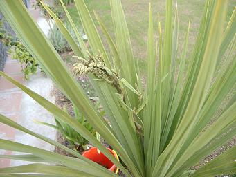 2005_05_07_001_reducida.JPG