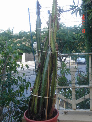 2006-10-25%2019-11-56_redimensionar.JPG