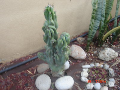 2006-10-25%2019-16-13_redimensionar.JPG