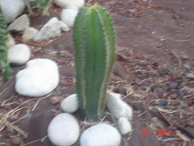 2006-10-25%2019-16-25_redimensionar.JPG