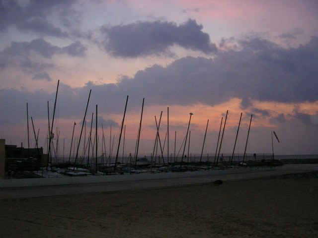 20061017 008.jpg