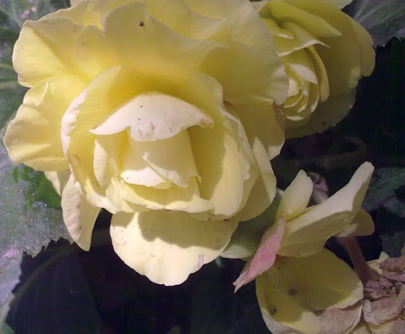 200620113272.jpg