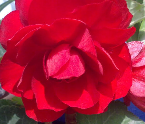 200620113276.jpg