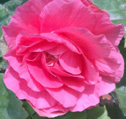 200620113277.jpg