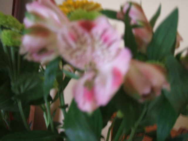 2006_1106Imagen0007.JPG