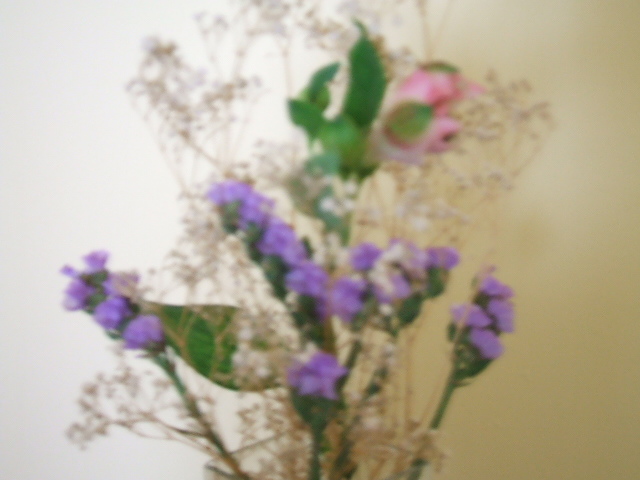 2006_1106Imagen0008.JPG