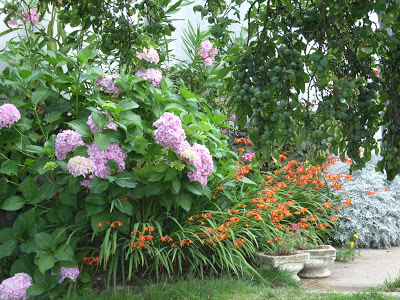 20070811+RIMG1896+Flores+jard%C3%ADn.JPG