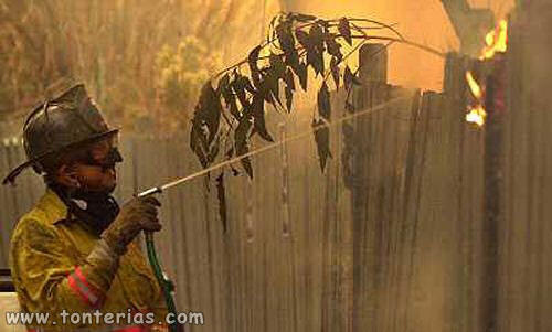 20071002111156_bombero.jpg