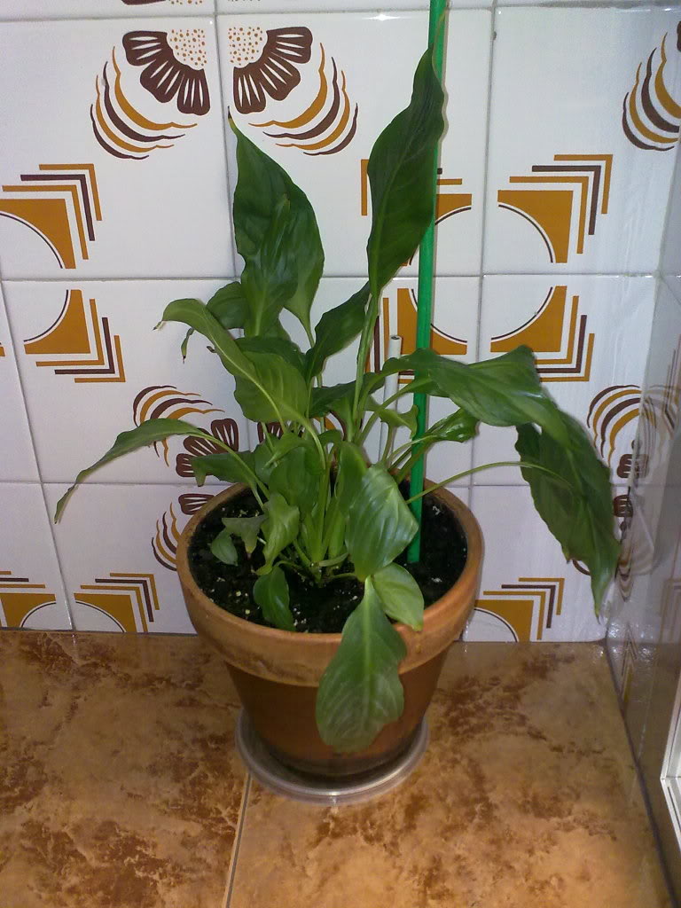 200720102249.jpg
