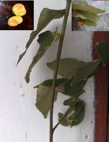 200720122097a.jpg