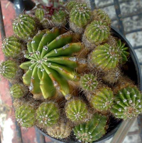 200720122102.jpg