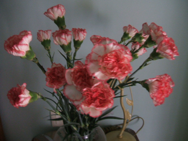2007_0119Imagen0023.JPG