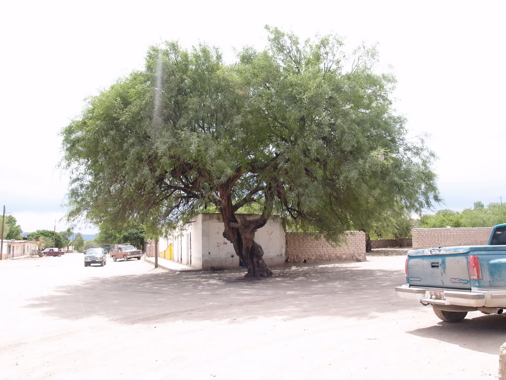 2007AbrilS-1.jpg