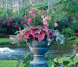 20080503garden_crawford_99_330.jpg