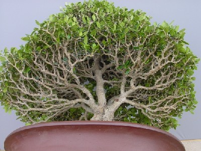 200805301423402.jpg