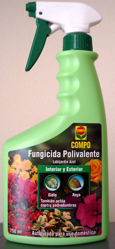 20080606182917Spray.JPG