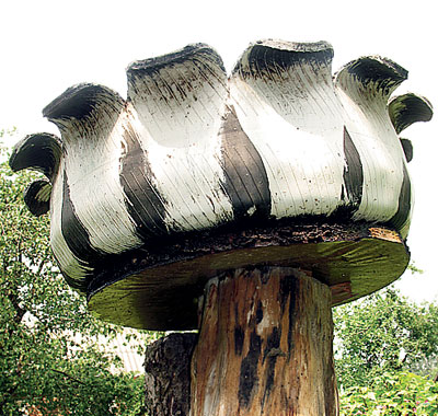 200810konkurs09.jpg
