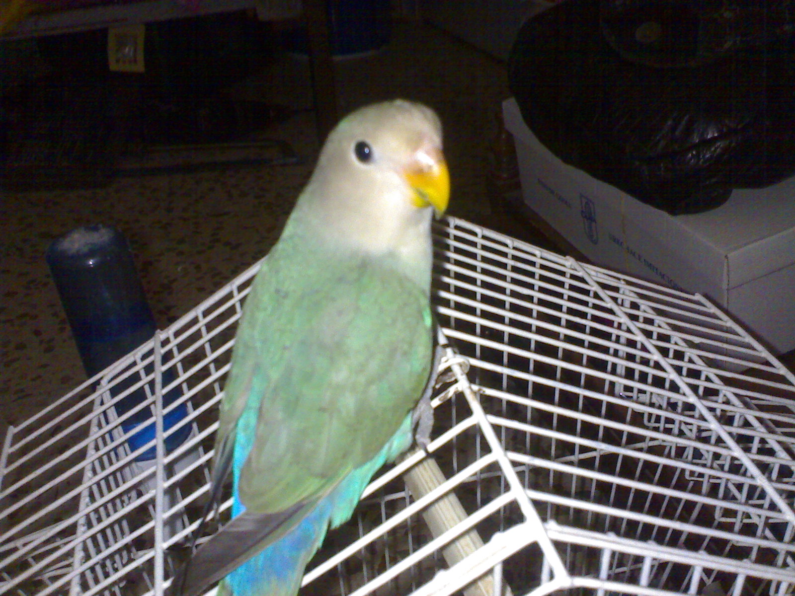 20082006055.jpg