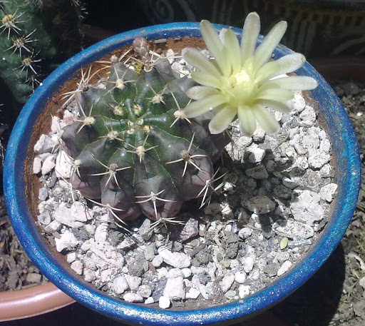 200820114065.jpg