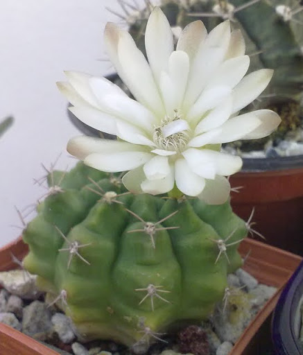 200820114070.jpg