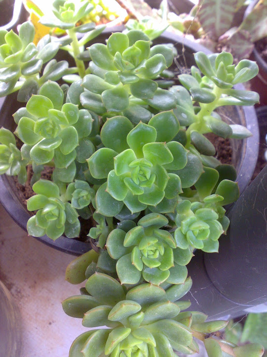 2008201213745.jpg
