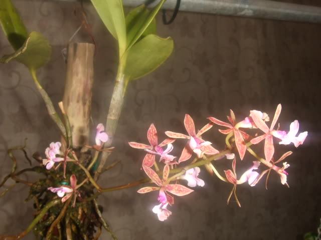 2009-03-11045.jpg