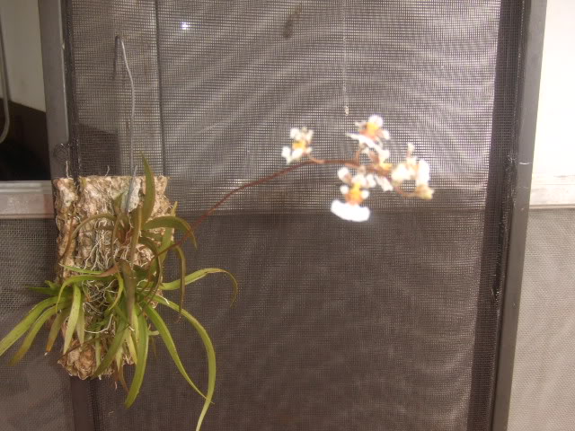 2009-03-15007.jpg