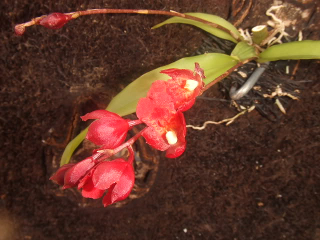 2009-03-15045.jpg