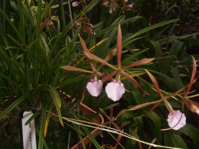 2009-04-05002.jpg