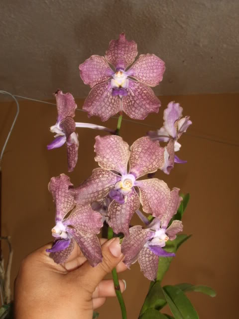 2009-04-15003.jpg