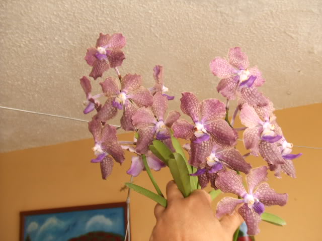 2009-04-15004.jpg
