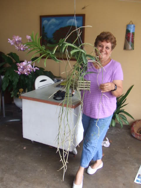 2009-04-15007.jpg