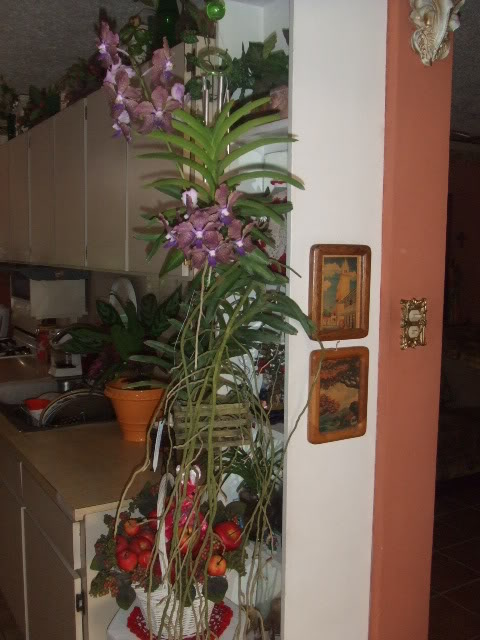 2009-04-15009.jpg