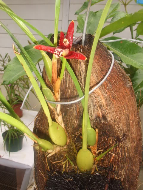 2009-05-12NILDA015.jpg