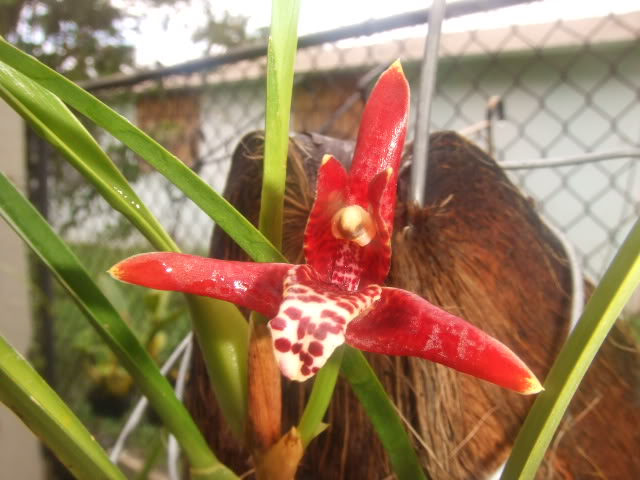 2009-05-12NILDA018.jpg