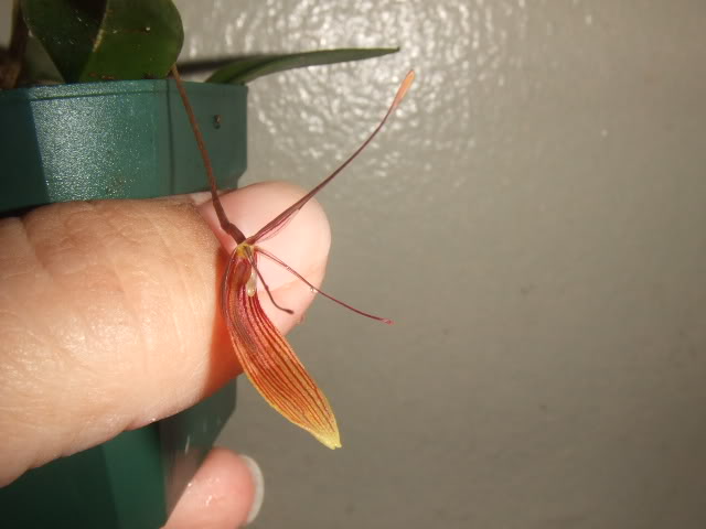 2009-05-13NILDA006.jpg