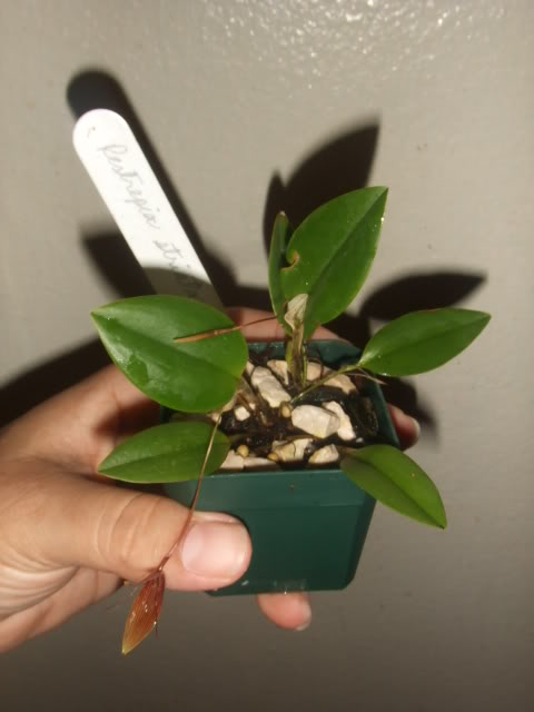 2009-05-13NILDA007.jpg