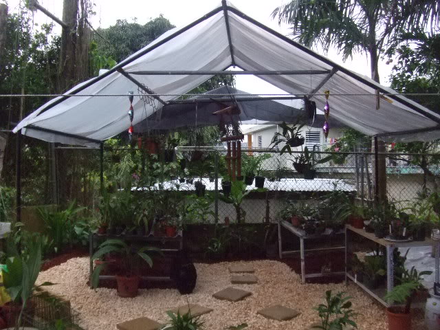 2009-05-22009.jpg