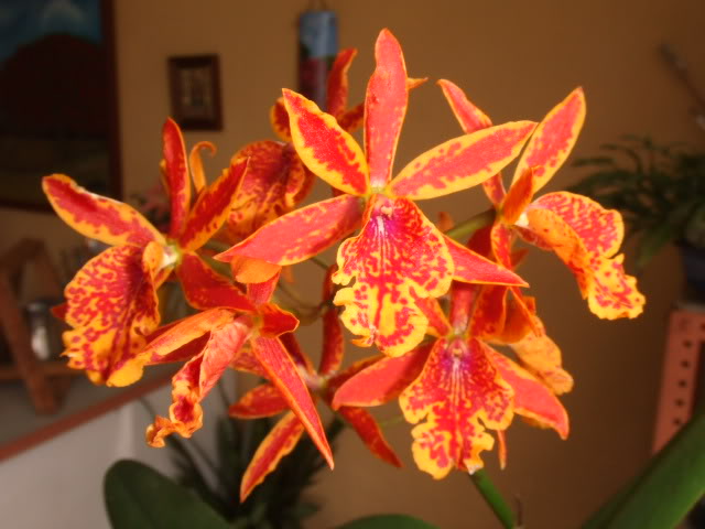 2009-05-25002.jpg