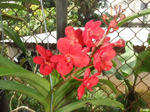 2009-05-28005.jpg