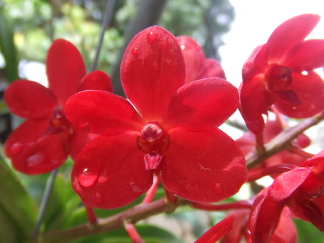 2009-05-28009.jpg