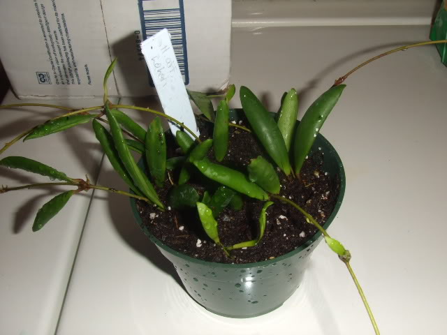 2009-06-05007.jpg