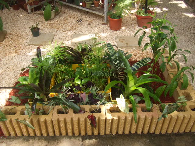 2009-06-06002.jpg