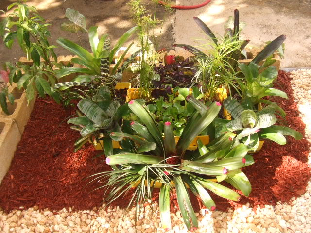 2009-06-06008.jpg