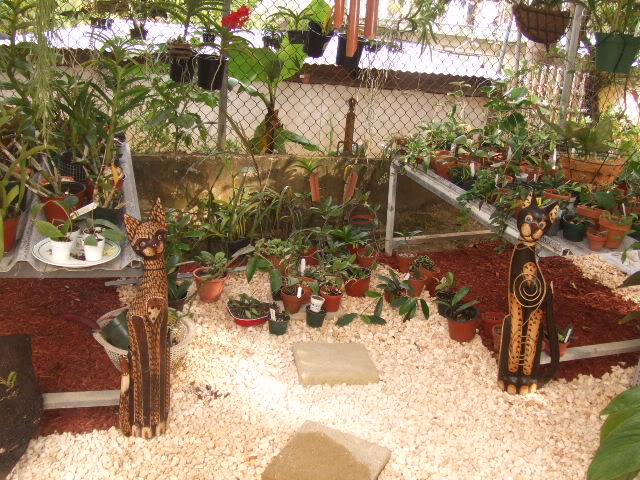 2009-06-06012.jpg