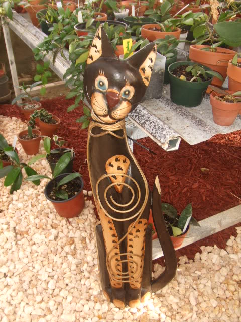 2009-06-06016.jpg